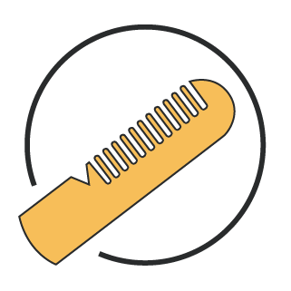 Lash comb vector image
